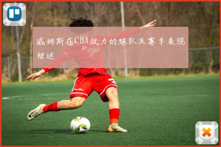 威姆斯在CBA效力的球队及赛季表现综述