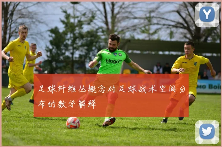 足球纤维丛概念对足球战术空间分布的数学解释
