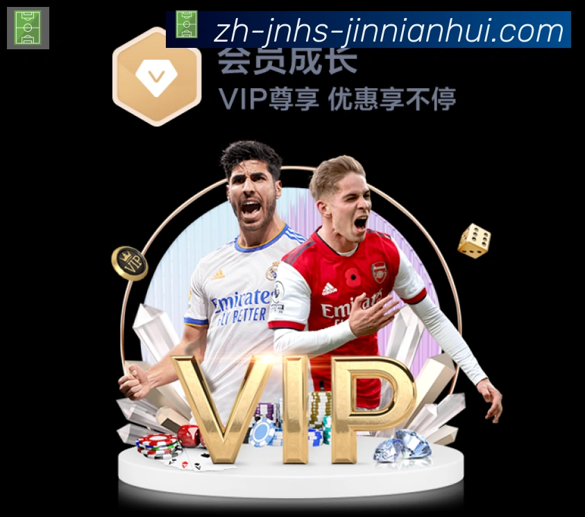 登录器 登录器